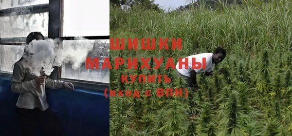 mix Белокуриха