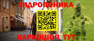 ALPHA PVP Бийск