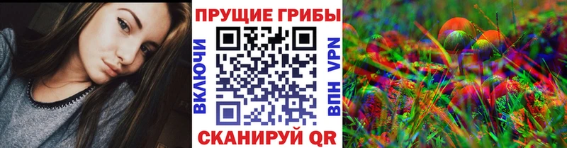 Псилоцибиновые грибы мицелий  Гусев 