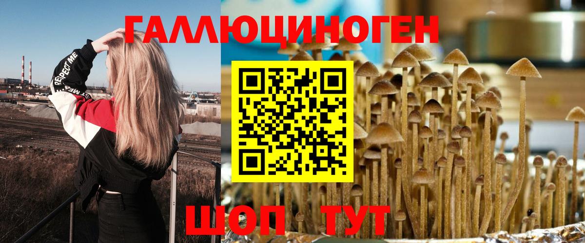 Гусев  Псилоцибиновые грибы Psilocybine cubensis  Галлюциногенные грибы GOLDEN TEACHER  Вход с VPN 
